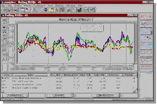 Asset Allocation Software